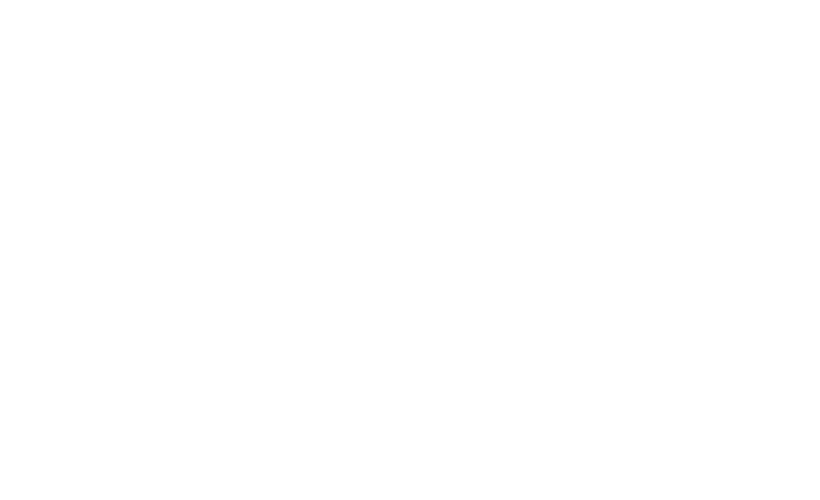 Logo GAEM